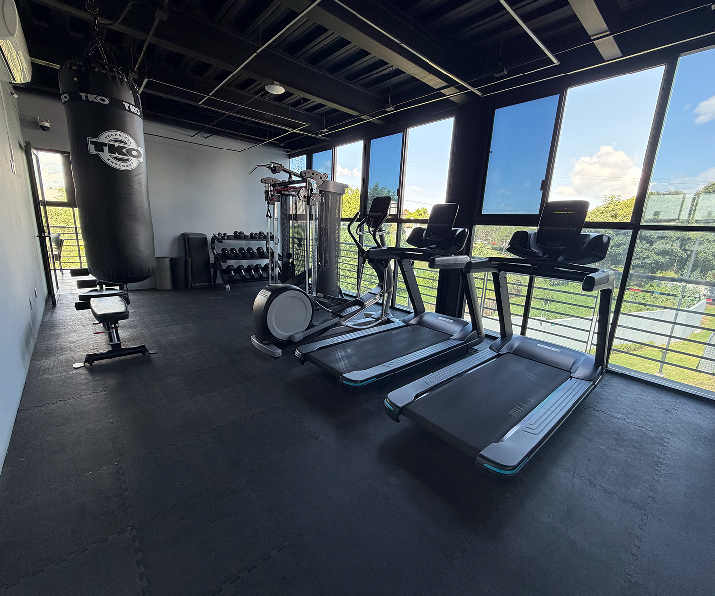 Gimnasio
